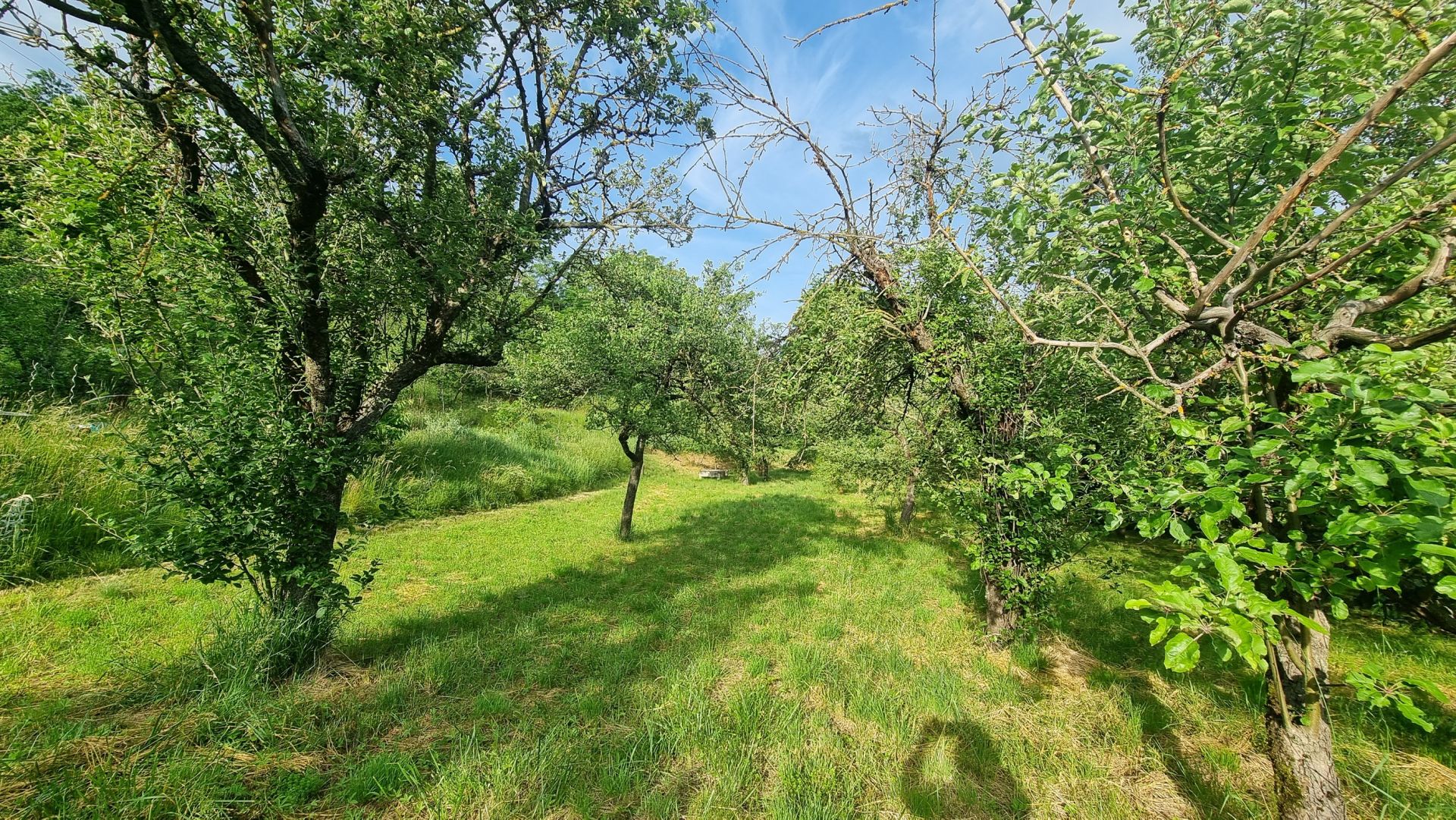 Nádherná zahrada o rozloze 1 052 m² v obci Pozořice